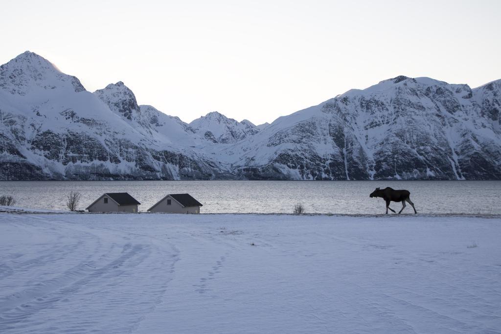 Lyngen North Villa Rotsund Buitenkant foto
